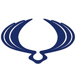 SSANGYONG логотип изображение SSANGYONG логотип